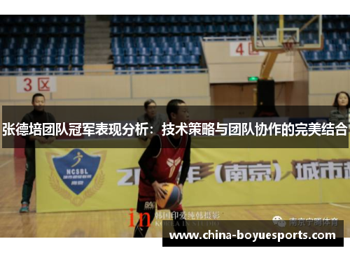 张德培团队冠军表现分析:技术策略与团队协作的完美结合 张德培团队冠军表现分析:技术策略与团队协作的完美结合