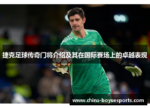 捷克足球传奇门将介绍及其在国际赛场上的卓越表现