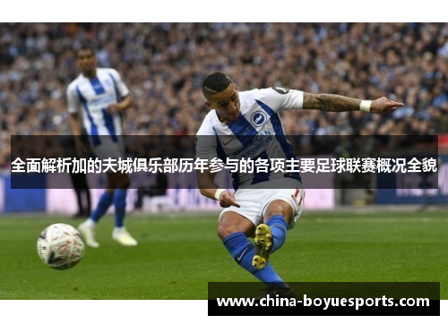 全面解析加的夫城俱乐部历年参与的各项主要足球联赛概况全貌 全面解析加的夫城俱乐部历年参与的各项主要足球联赛概况全貌