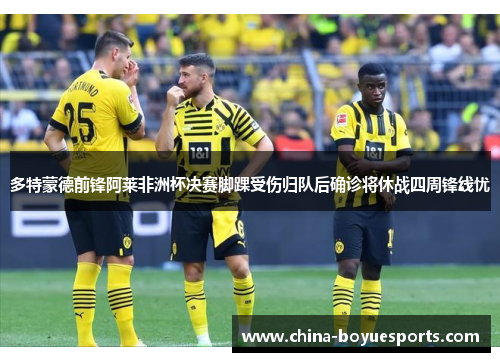 多特蒙德前锋阿莱非洲杯决赛脚踝受伤归队后确诊将休战四周锋线忧 多特蒙德前锋阿莱非洲杯决赛脚踝受伤归队后确诊将休战四周锋线忧