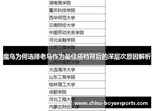 魔鸟为何选择老马作为最佳搭档背后的深层次原因解析