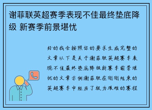 谢菲联英超赛季表现不佳最终垫底降级 新赛季前景堪忧